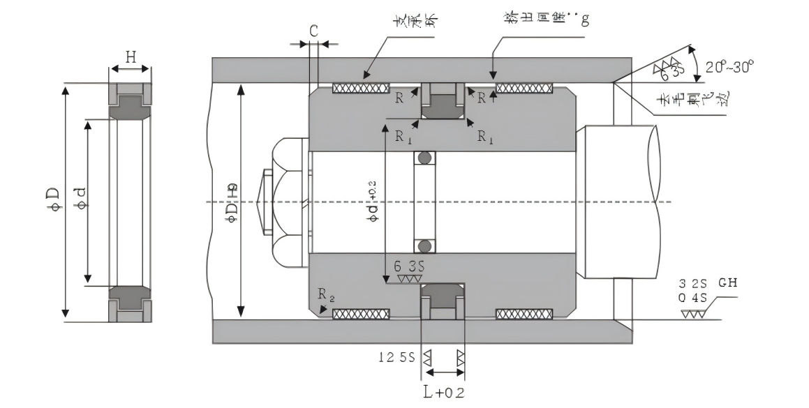 SPGW Piston Seal